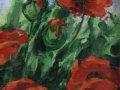 o27
