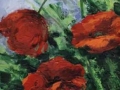 o28